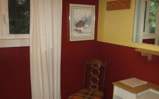 The Beez Kneez Bakpakers