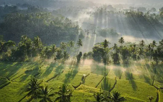 Ubud Mas Glamping Luxury Tent