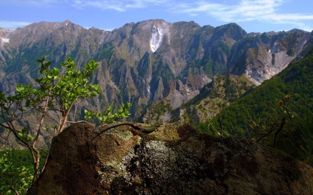 Nice Holiday Home in Marina di Massa near Beach