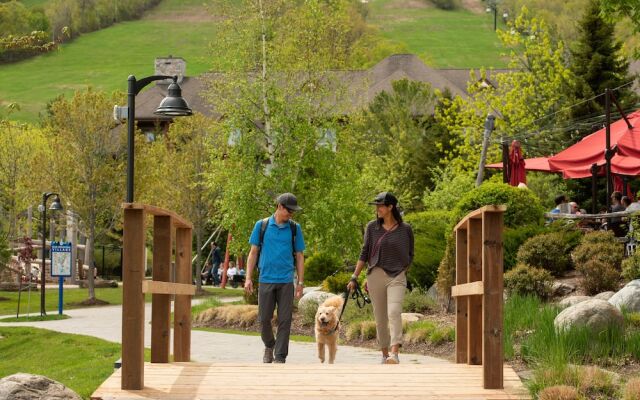 Blue Mountain Resort Inn