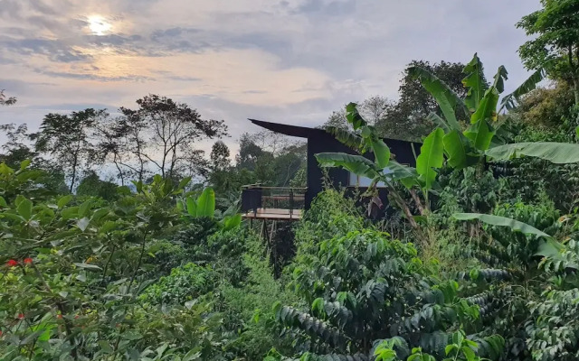 Biking & Adventure Hotel By La Palma Y El Tucan