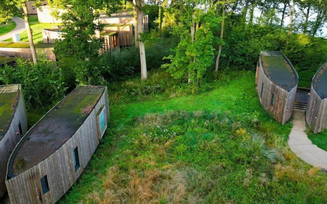 Romantic Forest Hideaway