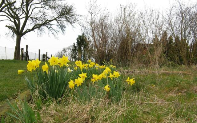 Ferienwohnungen zur Eule