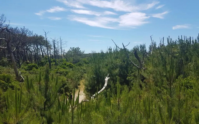 La Pinède Océane,400m des plages