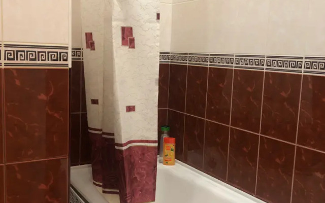 Апартаменты на Невском 105