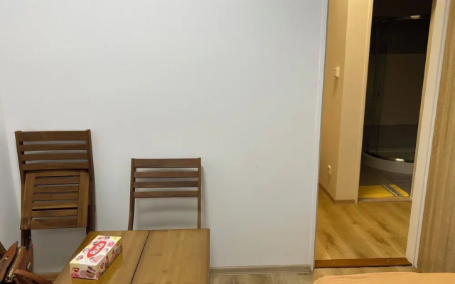 Cozy Studio in Zizkov, Prague