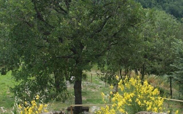 Agriturismo Il Boschetto