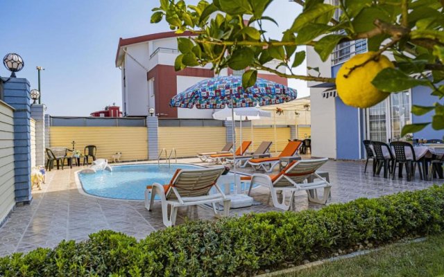 Splendid Villa With Private Pool in Antalya