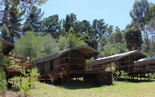 Tri Active Lodge