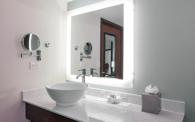 Hotel Indigo Chicago-Vernon Hills by IHG