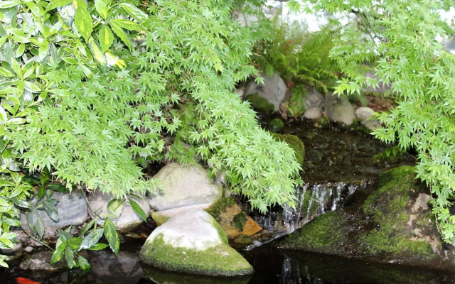 Medallion Inn & Suites