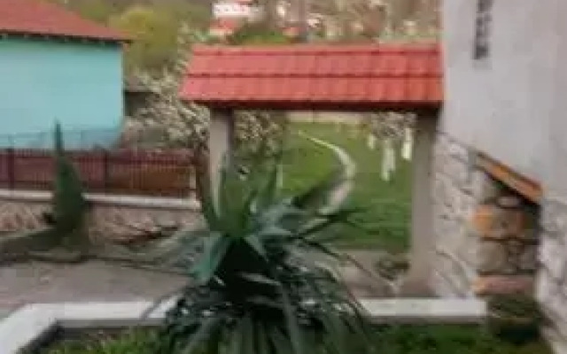 Guest House Green view
