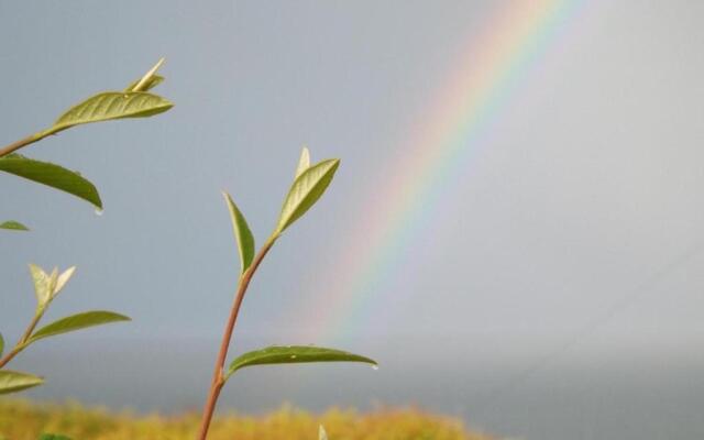 The Cabin with the View (Adults Only)
