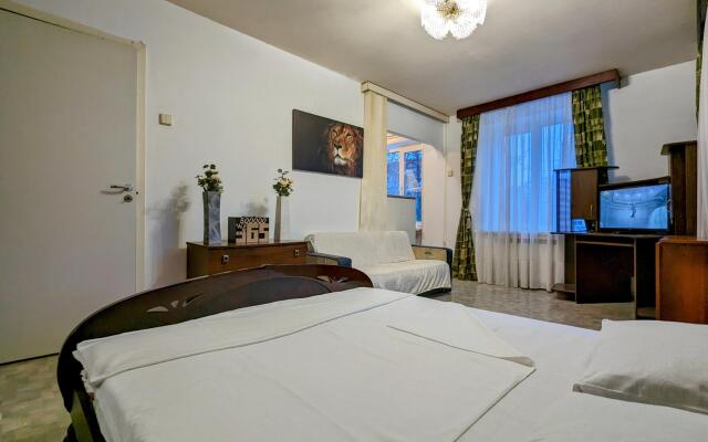 Nestory on Mishina Street 29