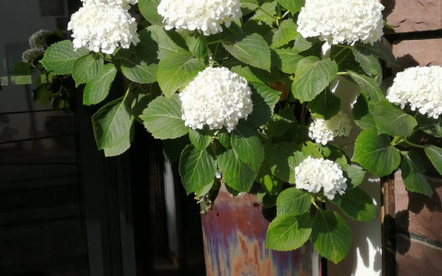 Logis Hotel Xoko-Goxoa