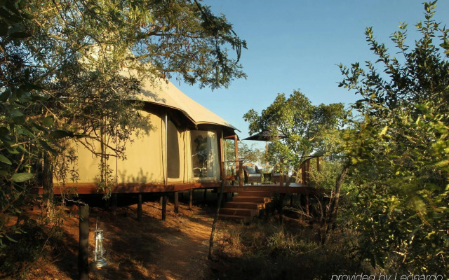 Thanda Safari