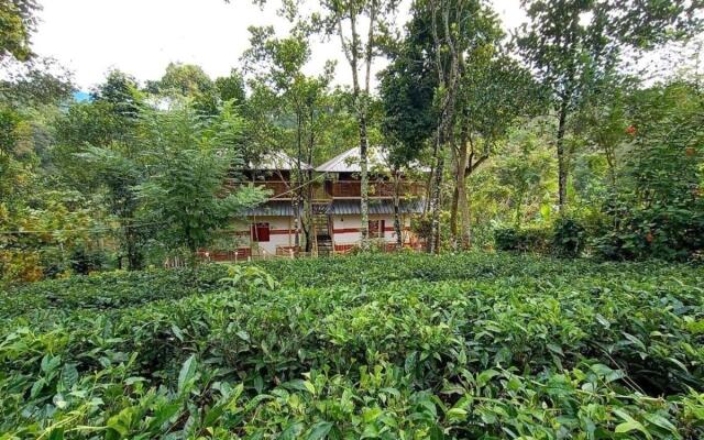 Chalona Jungle Eco Stay