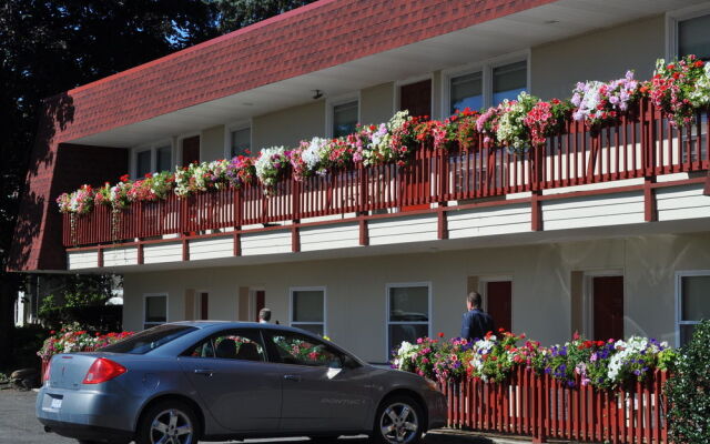 Blue Spruce Inn & Suites