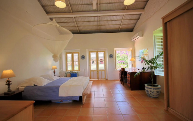 Villa with swimming pool and garden view MQSA20