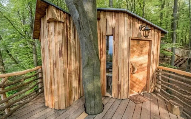 Robins Nest Baumhaushotel