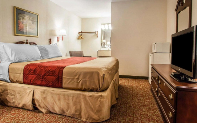 Econo Lodge Douglassville - Pottstown