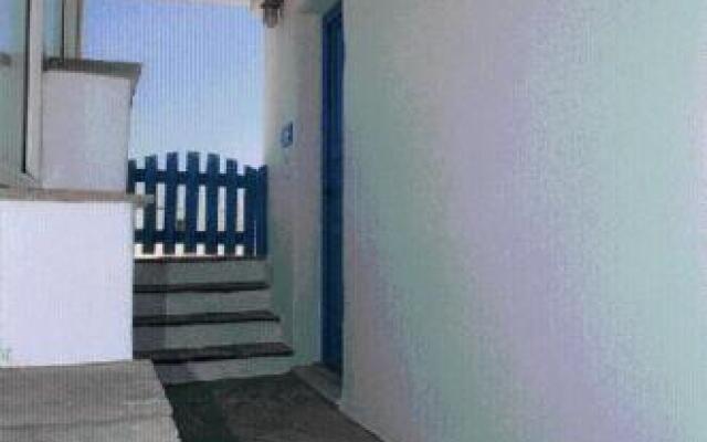 Tinos Koralli