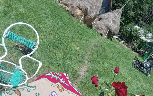 Room in Guest Room - Rural Holiday Transylvania