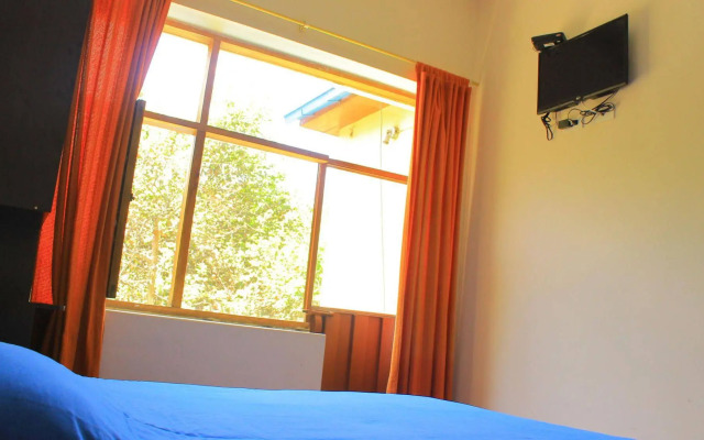 Posada del Maple - Hostel