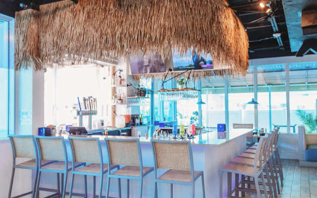 Winter the Dolphins Beach Club, Ascend Hotel Collection