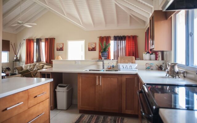 Jamaica Shades at Cool Shades