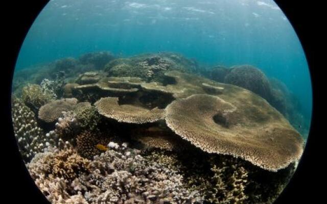 Chumbe Island Coral Park