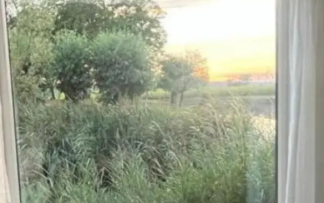 La vache au lit