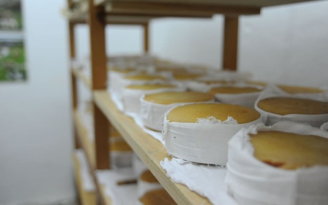 Vumba - The Bue-Maria Suite