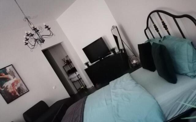 Vilnius city center apartment