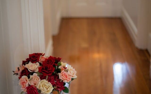 Belmont at Beechworth