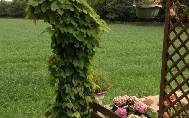 Field View House B&B