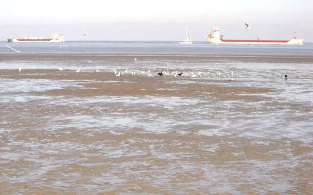 Seehund Comfortable Holiday Residence