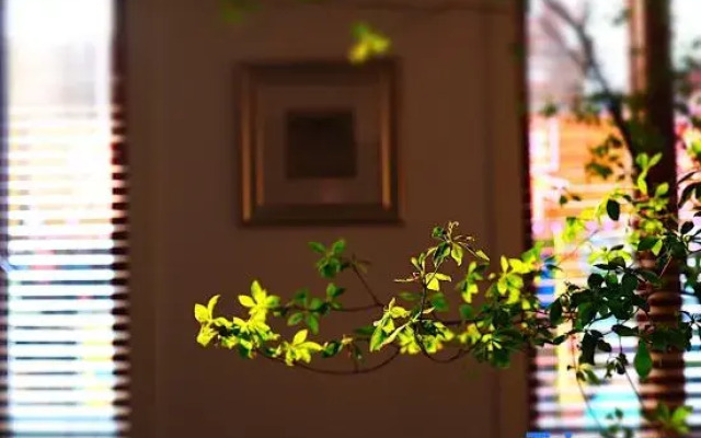 Shenzhen Jiaochangwei Yishe Boutique Hotel