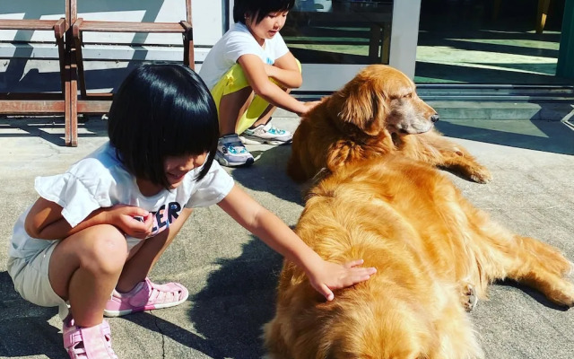 Riverside Hostel B&B – Hostel