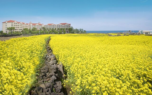 Sono Belle Jeju