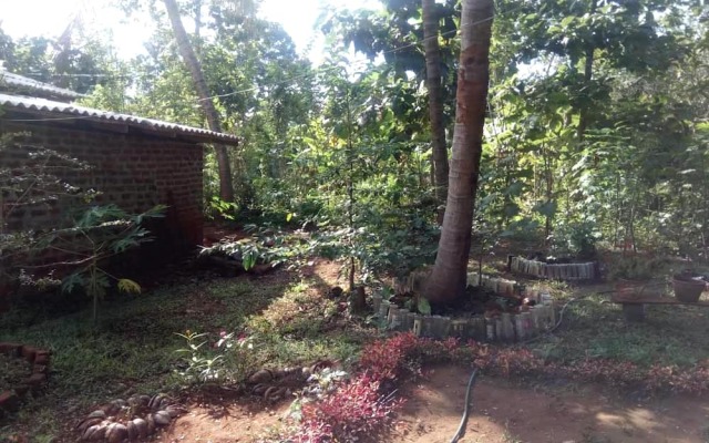 Yoho Mango Tree Home Stay & Hostel