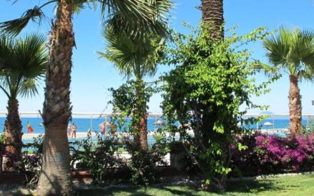 Sunset Beach Club Seashell 06