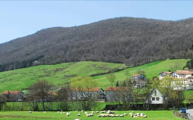 Rural Iribarnia