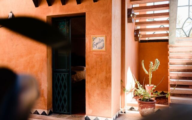 Riad Mellado by Grupo Afekto