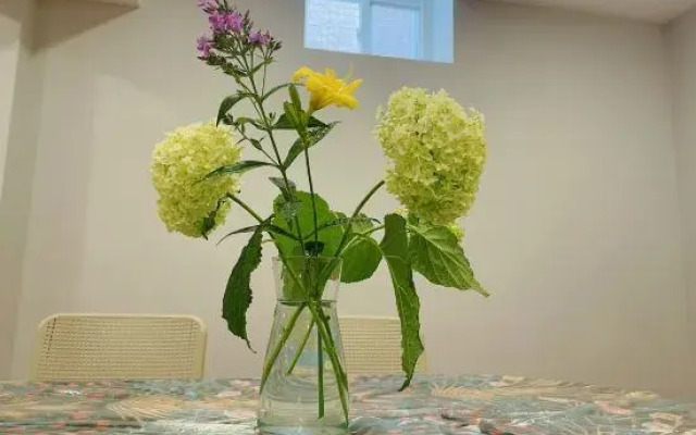 Private House Basement Suite Toronto/Richmond Hill