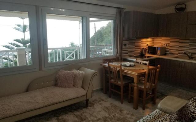 Angela Hilltop Apt 1
