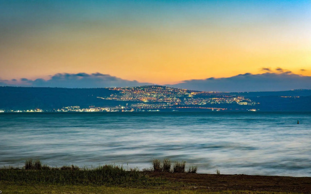 Olive In Sea of Galilee