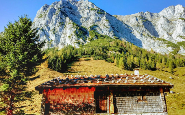 Predigtstuhlblick Apartment - Terrasse - Pool - Panorama
