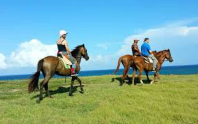 A Peace of Paradise St. Lucia