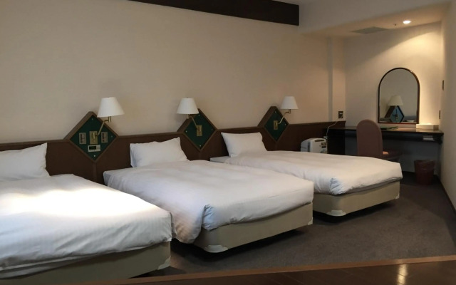 Hotel New Omi